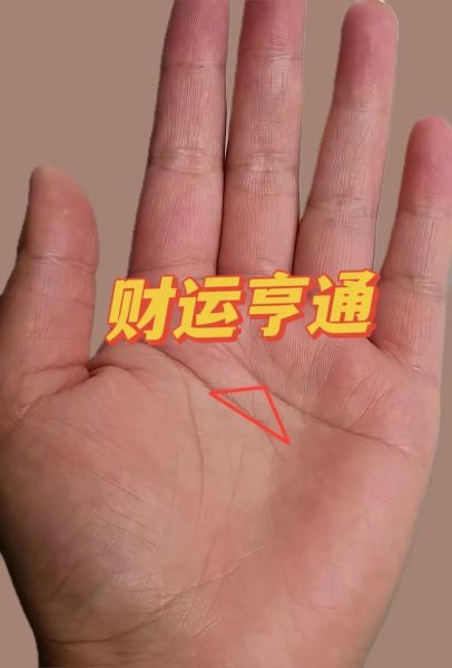 财运线怎么看_掌纹真的能预测财富吗
