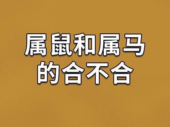 马和鼠属相相配吗_婚姻感情如何