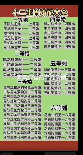 鼠马相冲如何化解_鼠马相冲的婚姻能幸福吗