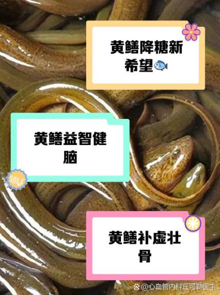 黄鳝是属什么生肖_黄鳝属相有什么寓意