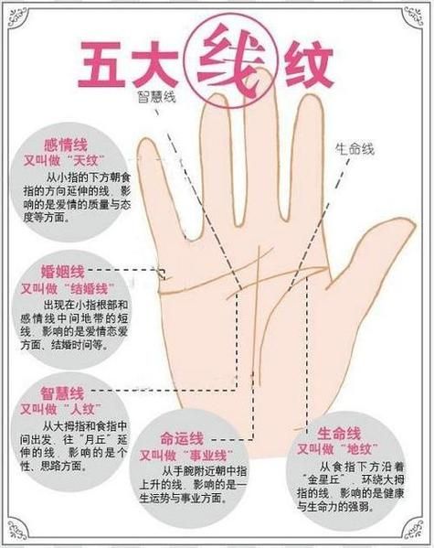 财运手相怎么看_手长代表什么财运