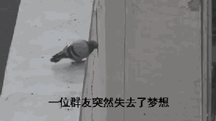 梦到朋友摔死了_是什么意思