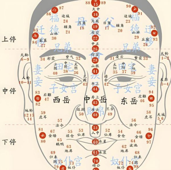 面相怎么看财运_面相测试财运准吗