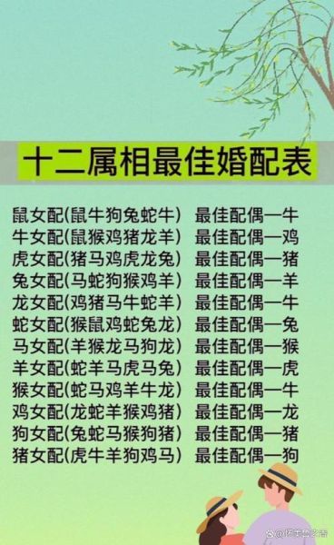 最佳配偶属相_哪些生肖最般配
