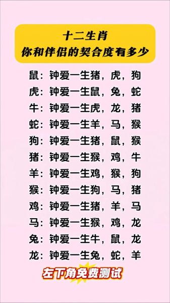 男人女人属相配对_哪些生肖最合
