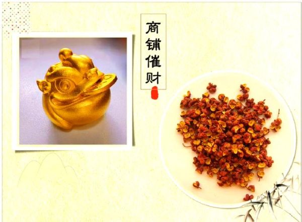 水是财运么_风水布局招财技巧