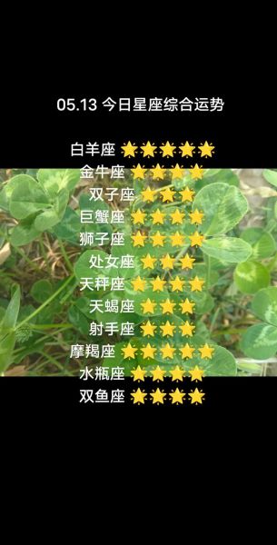 白羊座恋爱运势_如何提升桃花运
