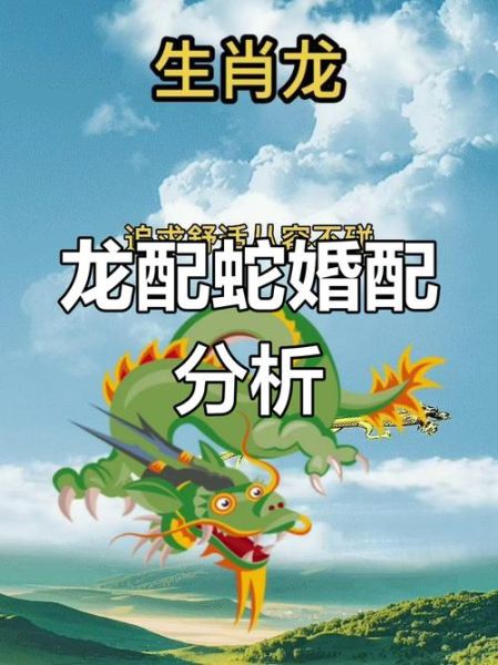 龙蛇属相合吗_龙蛇配对婚姻好吗