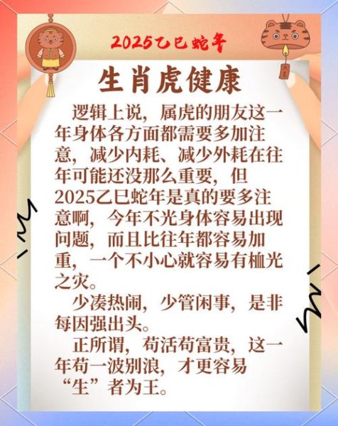 虎人猪年运势如何_猪年属虎人财运旺吗