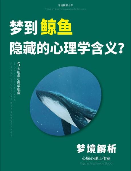 梦到大鲸鱼是什么意思_鲸鱼梦境解析