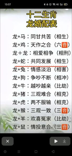 龙的贵人是什么属相_属龙人一生最佳六合生肖