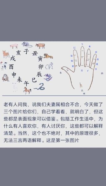 手掌看属相准吗_手掌属相怎么算
