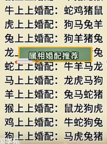 陪婚属相有哪些_陪婚属相怎么选