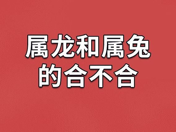龙属相和兔合不合_龙兔配对婚姻如何