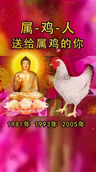 属鸡配什么属相最好_属鸡和什么属相最合