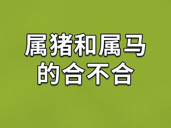 猪和马属相配不配_婚姻感情如何