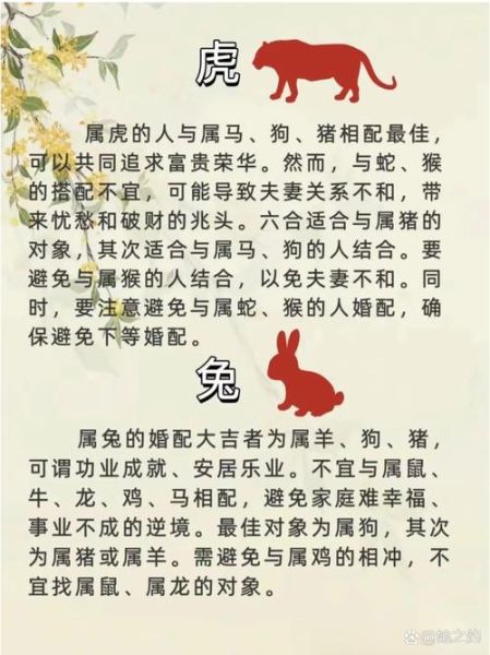 鼠属相和什么属相最配_鼠和牛龙猴哪个最合