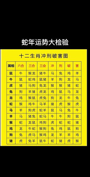 属蛇的和什么属相不合_属蛇相冲相克生肖