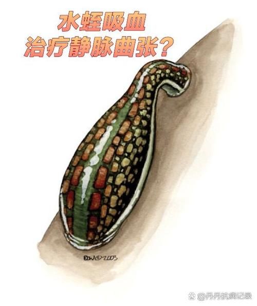 梦到被蚂蝗吸血_什么预兆