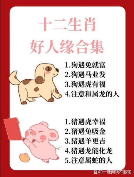 鼠宝宝和马爸爸相冲吗_如何化解