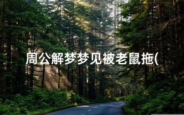 老鼠咬脚趾头运势_梦到老鼠咬脚是什么预兆