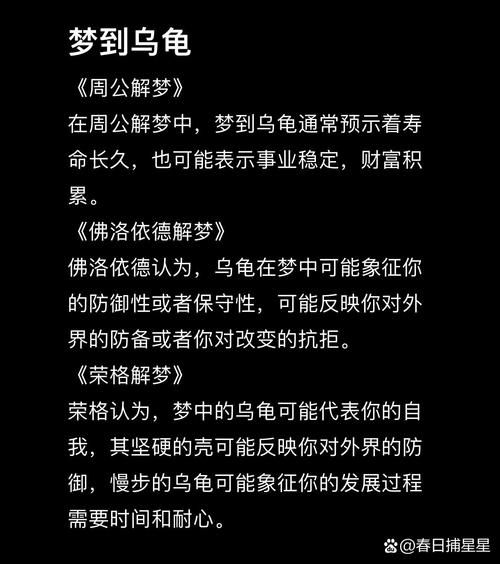 梦到捉乌龟是什么意思_捉乌龟梦境解析