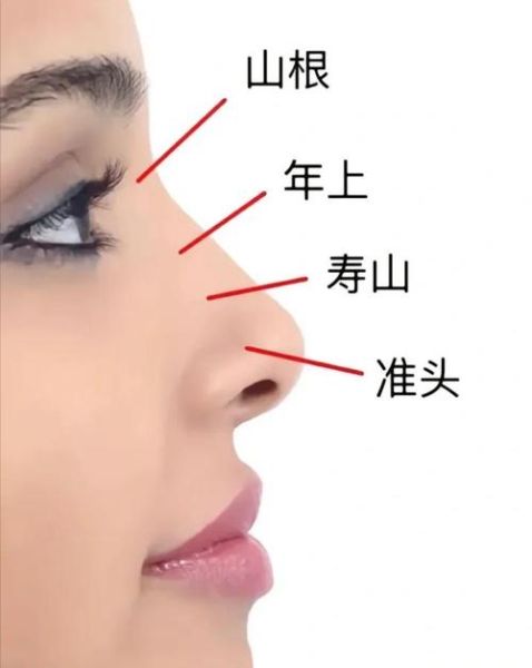 鼻尖看财运是真的吗_鼻尖财运怎么看