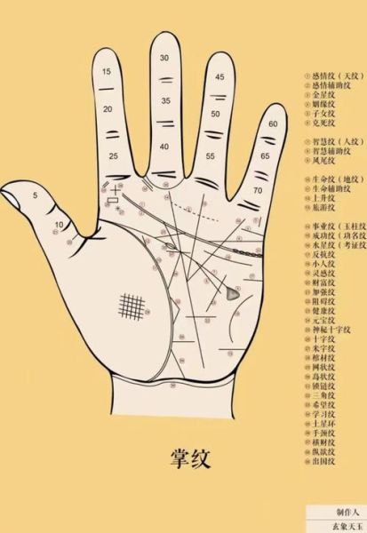 财运线纹怎么看_手相财运线解析