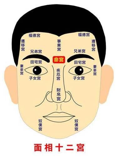 男人财运面相学_如何通过面相看财运