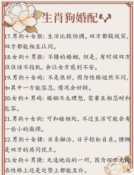 男狗与什么属相最配_属狗男婚配禁忌