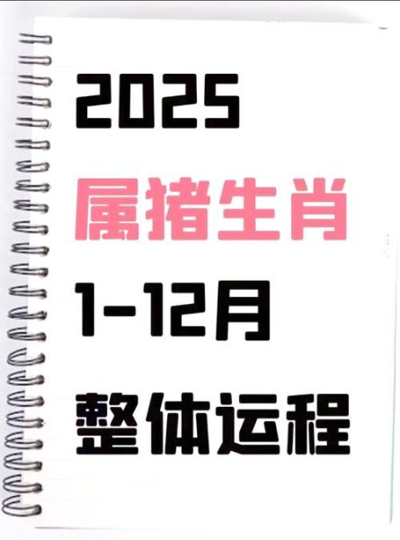 猪年适合属相有哪些_猪年犯冲属相如何化解