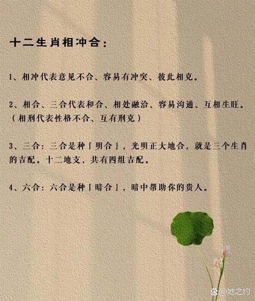 父母属鼠孩子属马相冲吗_如何化解鼠马相冲