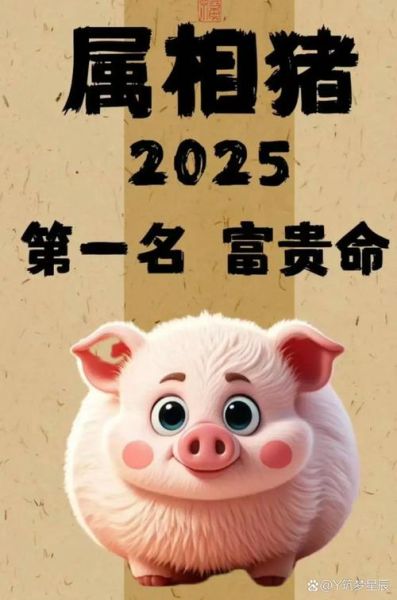 猪年8月财运如何_属猪人八月财运提升方法