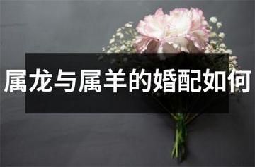 龙属相合羊吗_属龙属羊婚配好吗