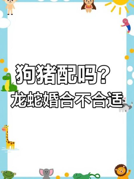 猪和狗属相合不合_猪狗婚配好吗