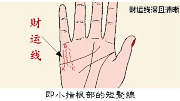 财运线数量多_手相真能预示财富吗