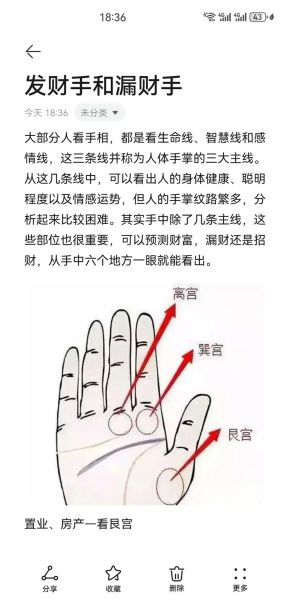财运旺掌纹怎么看_手相财富线解析