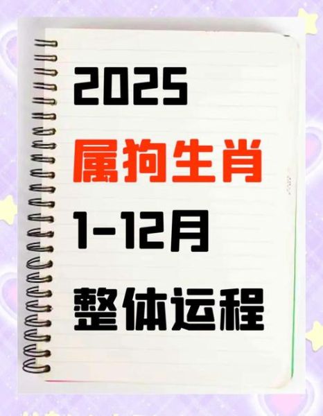 狗年财运如何_狗年出生的人财运好吗
