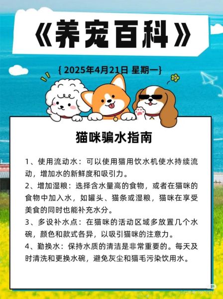 梦到猫游泳是什么意思_猫在水里游的梦境解析