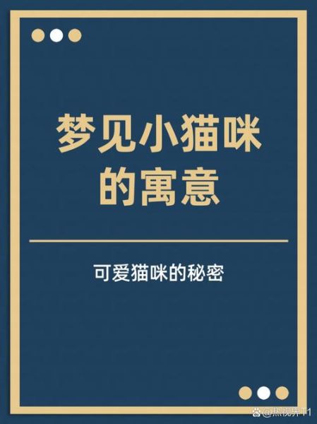 梦到猫抓猫是什么意思_猫打架梦境解析