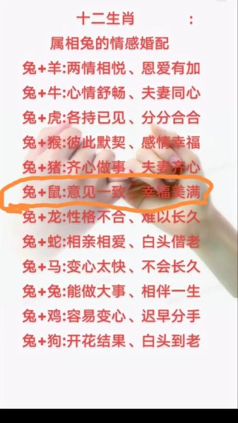 鼠男和什么属相最配_鼠男婚配禁忌有哪些