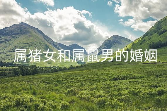 属猪和属鼠的合不合_婚姻配对怎么样