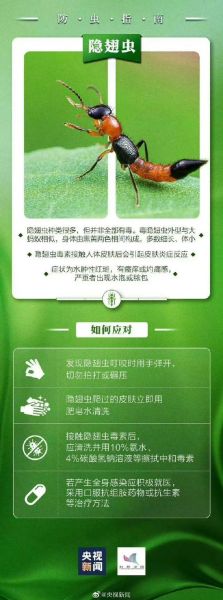 梦到被毒虫咬是什么意思_被毒虫咬梦境解析