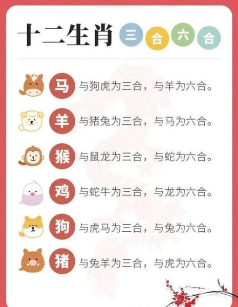 属马和属鼠的合不合_马鼠相冲如何化解
