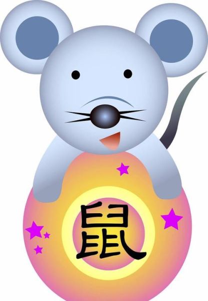 鼠年出生今年财运如何_鼠年生人2024年怎么招财