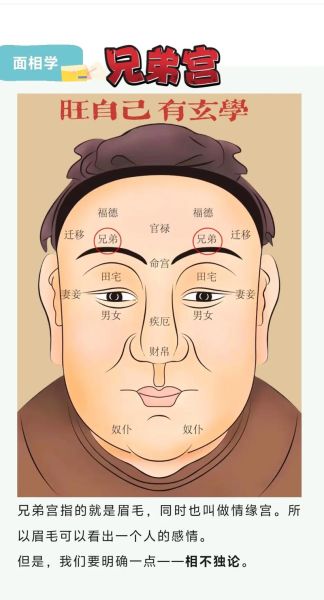 眉毛运势怎么看_眉毛五段运势图解