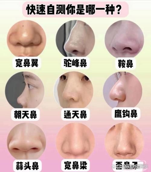 隆鼻能改变财运吗_隆鼻与面相风水关系