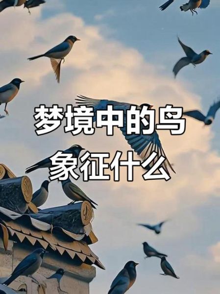 梦到被鸟啄是什么意思_被鸟啄梦境预示什么