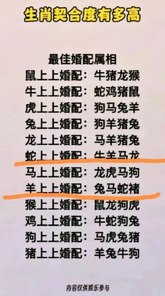 男狗和什么属相最配对_男狗婚配最佳生肖