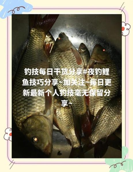 梦到钓鲤鱼是什么意思_梦见钓鲤鱼好不好